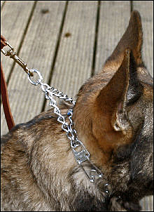 best pinch collar for german shepherd